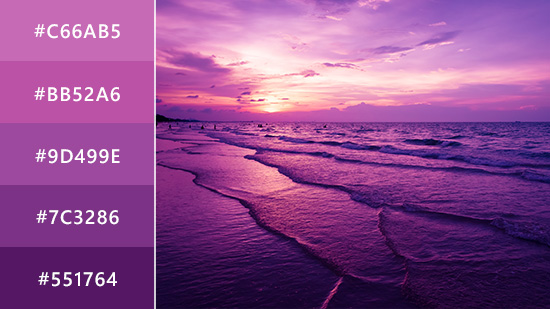 Purple Color: Everything You Need to Know