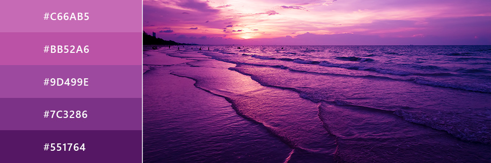 Purple Color: Everything You Need to Know