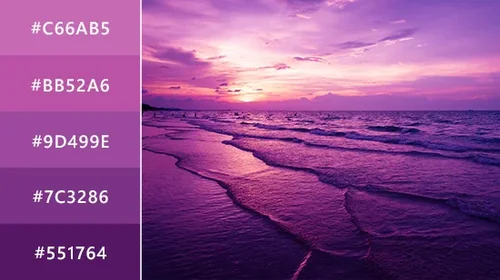Purple Color: Everything You Need to Know
