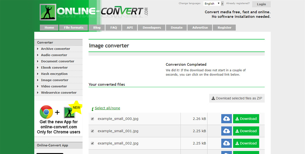 Online Convert Interface