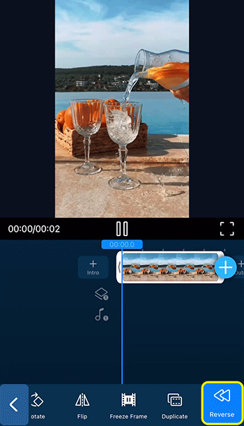PowerDirector - Reverse Video