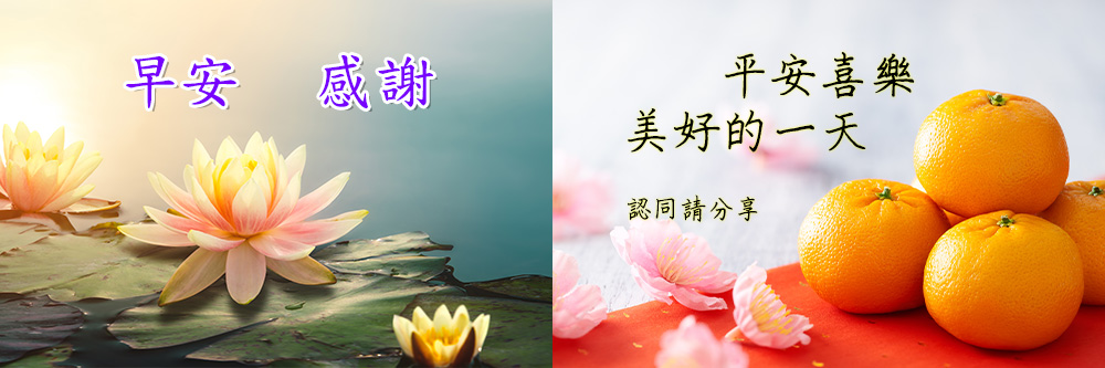 	[免費]超強長輩圖產生器推薦，大量長輩圖背景和字體貼圖任選