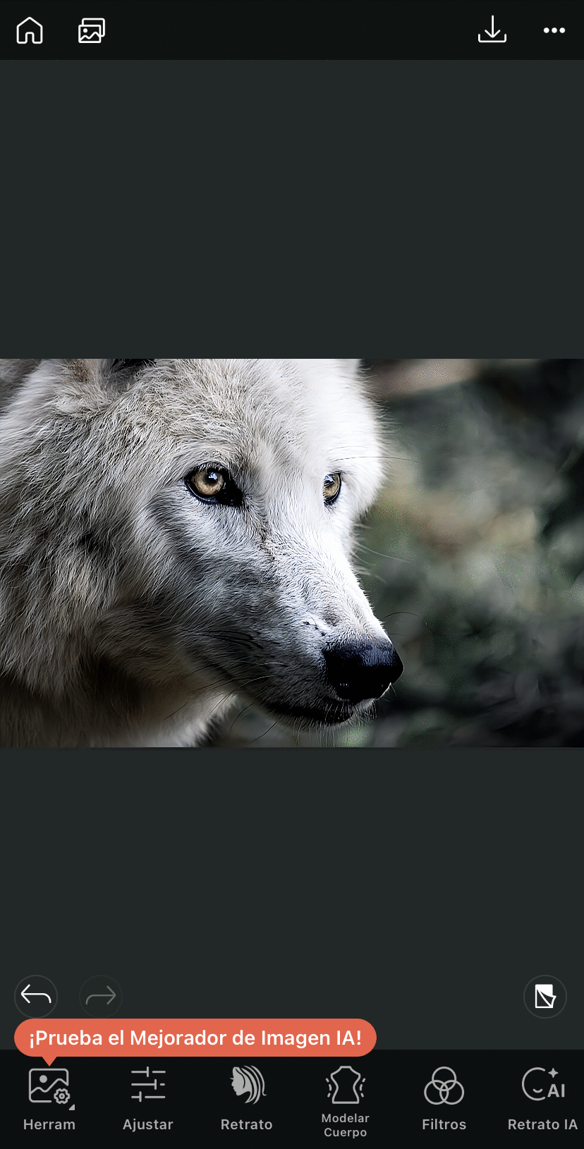 Mejorar la calidad de una imagen en el teléfono