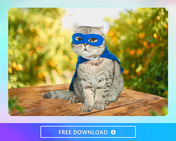 Promeo - Try out this template