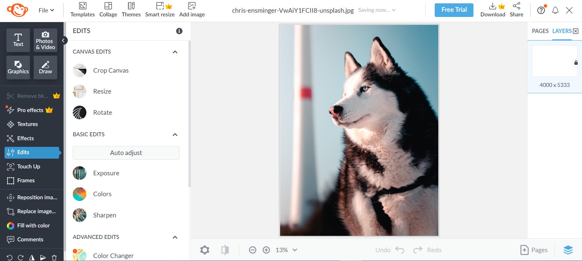 PicMonkey - Editor de fotos online para crear contenido para redes sociales