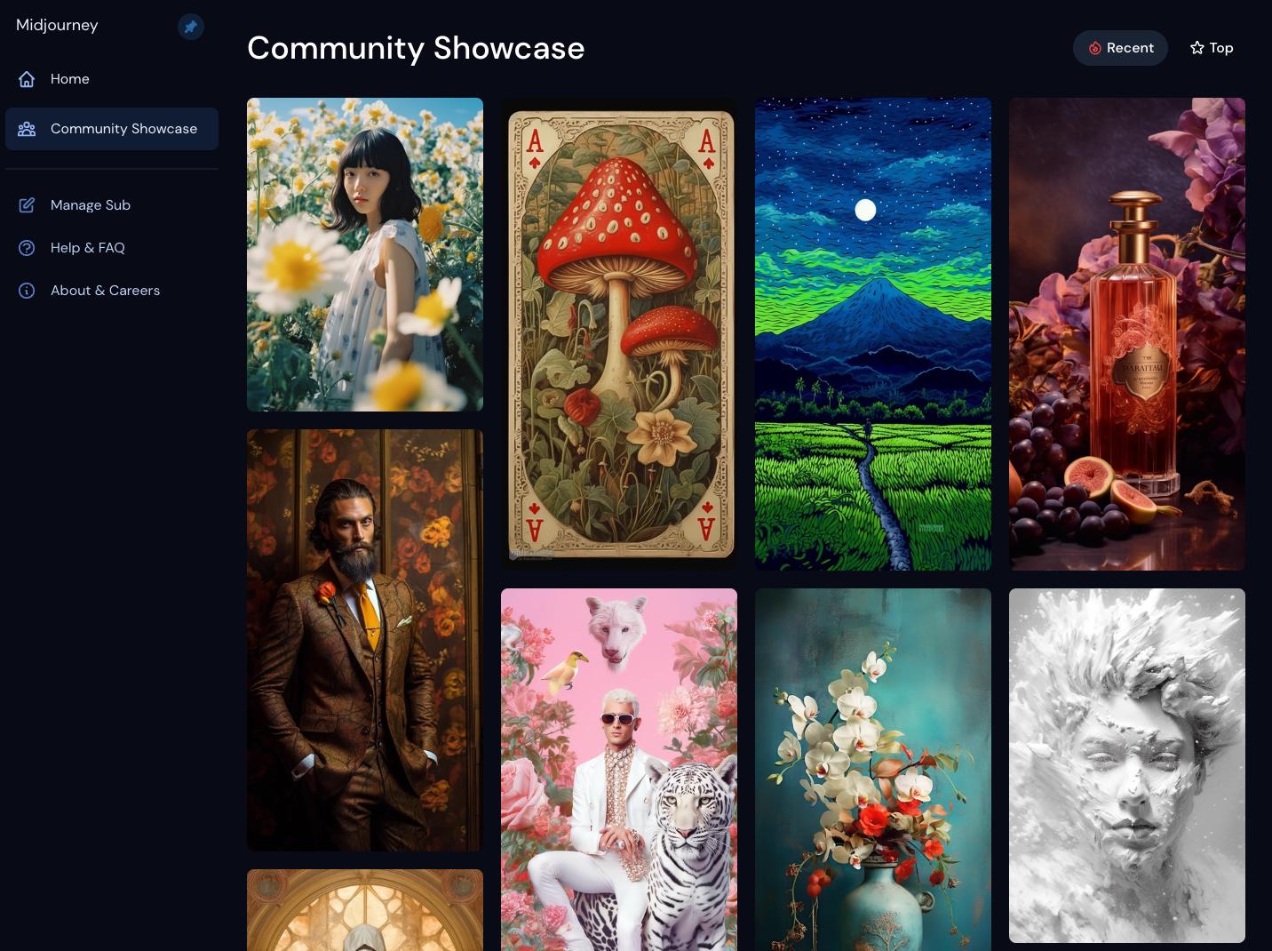 Midjourney Interface