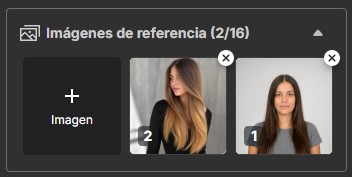 Panel de imágenes de referencia de MyEdit con el retrato de partida y la foto de estilo cargados y numerados