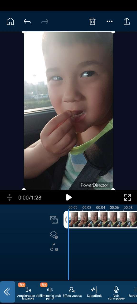 PowerDirector Interface