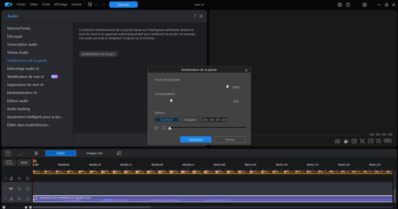PowerDirector Interface