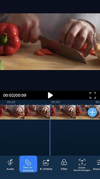 PowerDirector App | Text zu Sprache auswählen