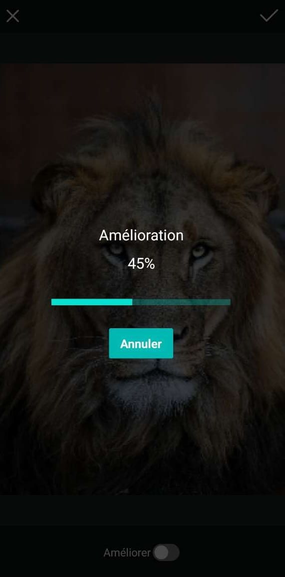 Dépixeliser une image