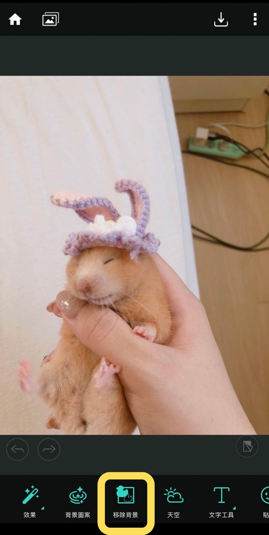 選擇「移除背景」