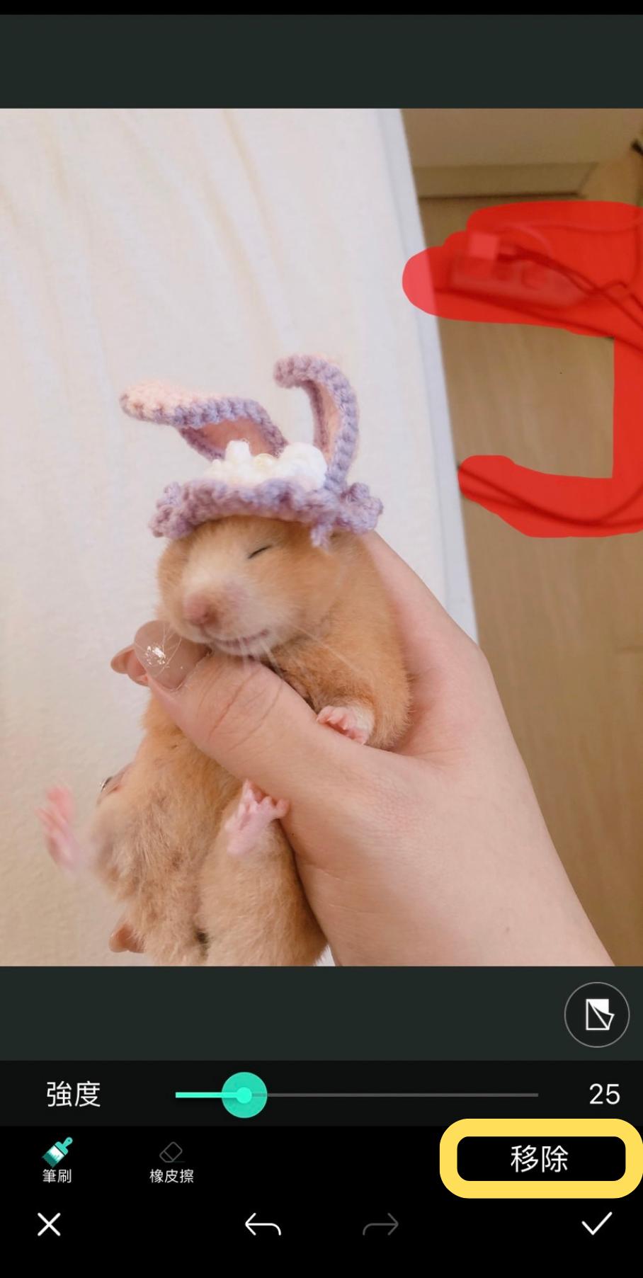 手動塗取想移除的物件