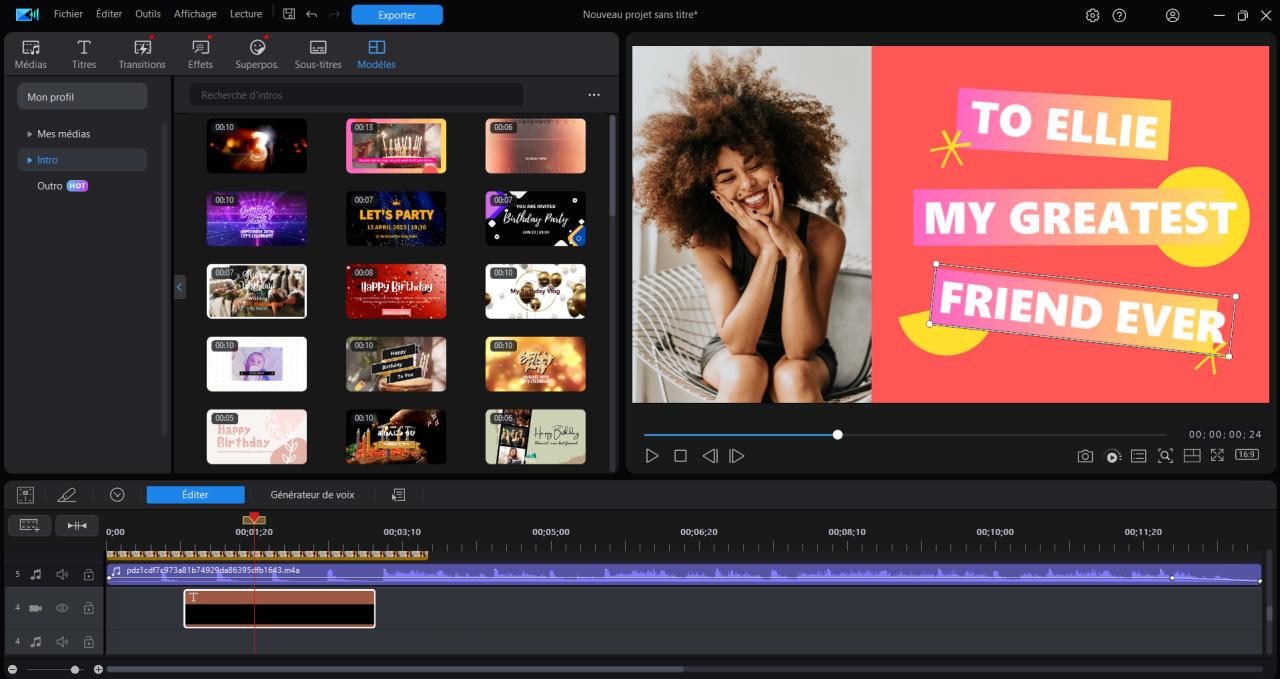 PowerDirector Interface