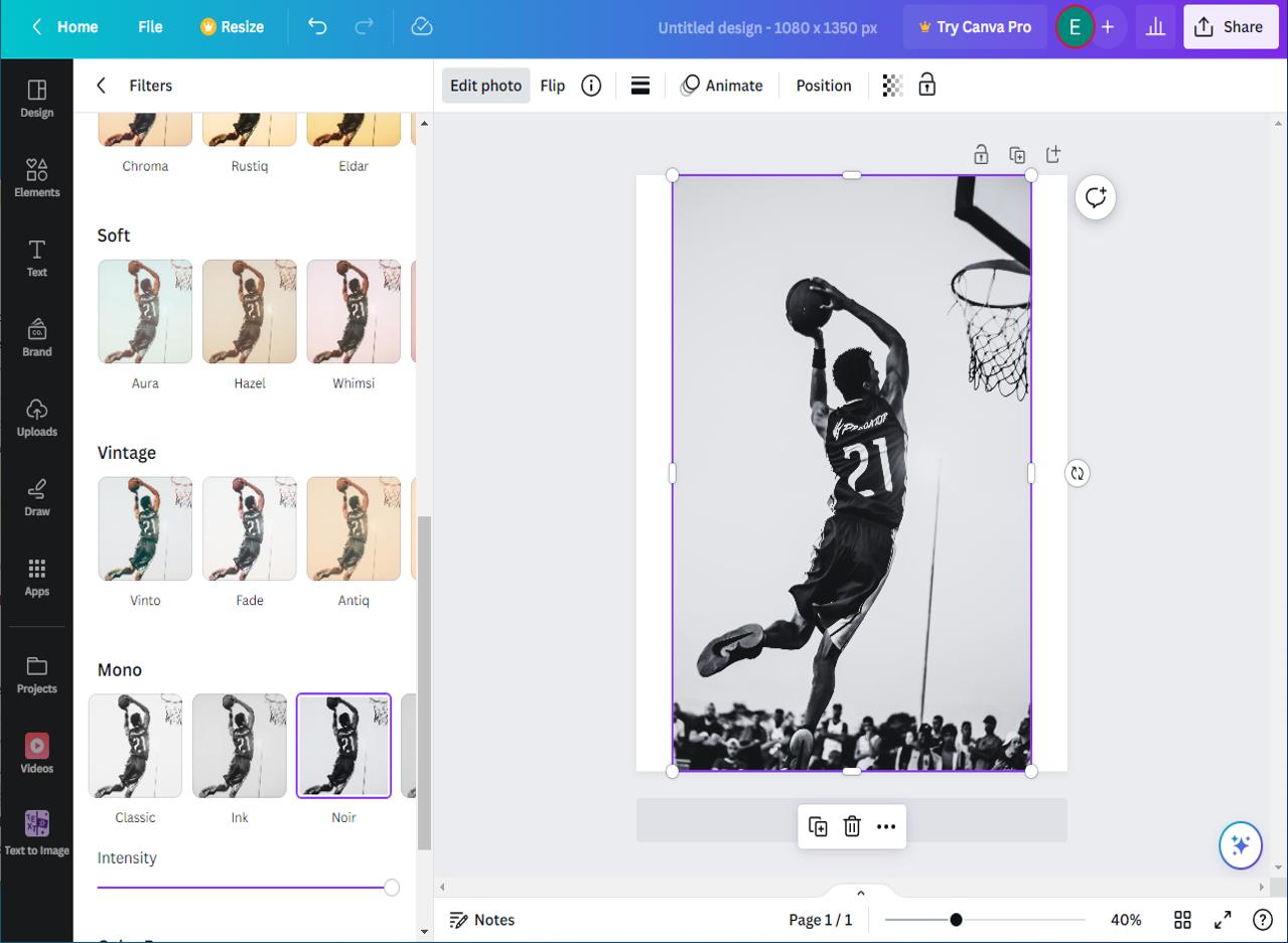 Canva - Choix Numéro 4 pour mettre une photo en noir et blanc