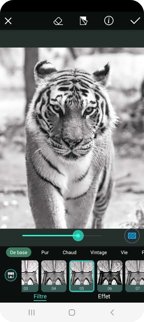 PhotoDirector App - Choix Numéro 2 pour mettre une photo en noir et blanc