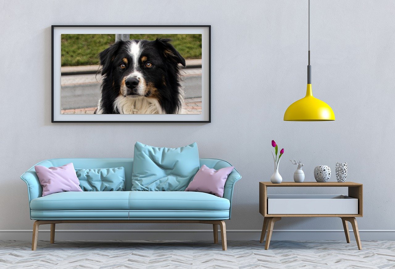 MyEdit - convertir tu hogar en la casa de los sueños de Barbie