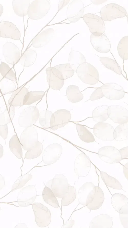 Promeo - Best templates for makeup and beauty ads