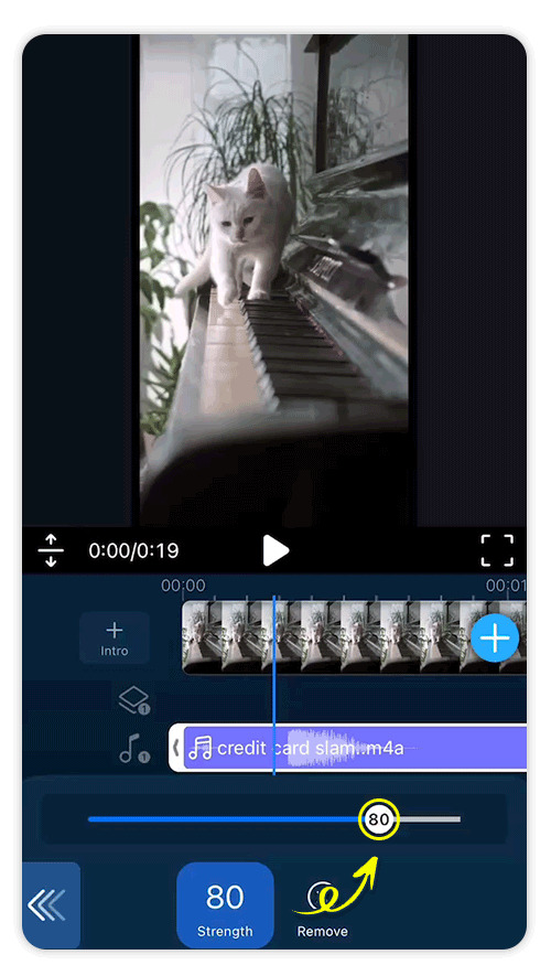New Project with PowerDirector