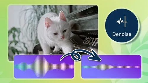 How to Remove Background Noise From Video Using AI