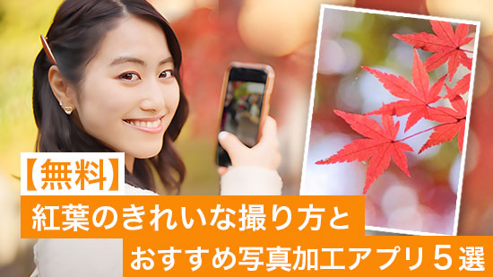 【無料】紅葉のきれいな撮り方とおすすめ写真加工アプリ５選【2025年最新版】