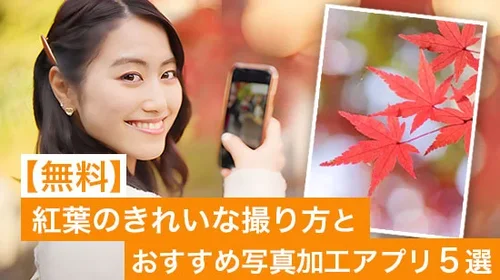 【無料】紅葉のきれいな撮り方とおすすめ写真加工アプリ５選【2025年最新版】