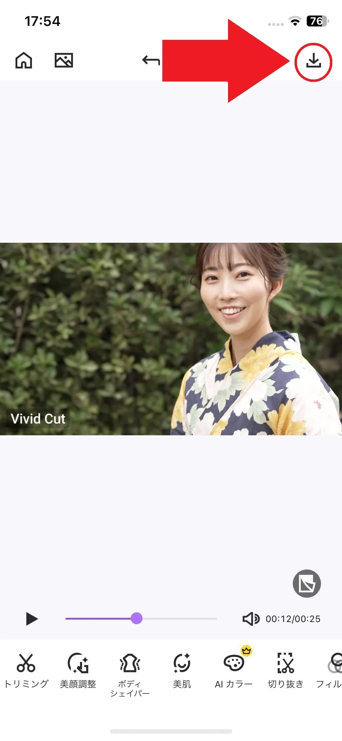 Vivid Glam 書き出しの方法