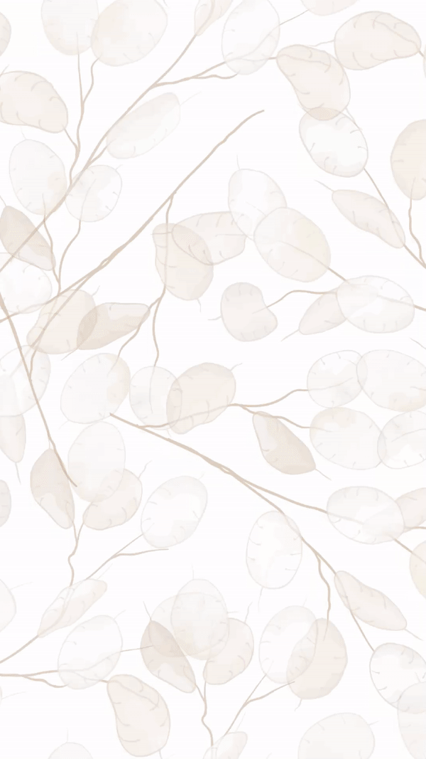 Promeo - Best templates for makeup and beauty ads