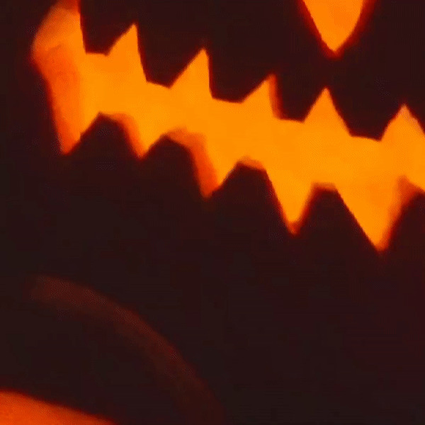 Promeo - La mejor app para hacer anuncios de Facebook