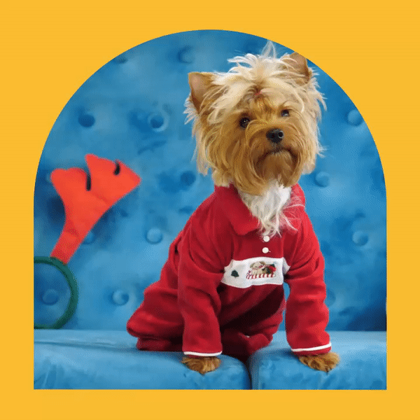 Promeo - Best templates for makeup and beauty ads