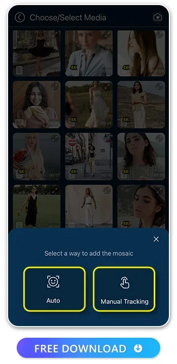 How to Blur Face in Video
