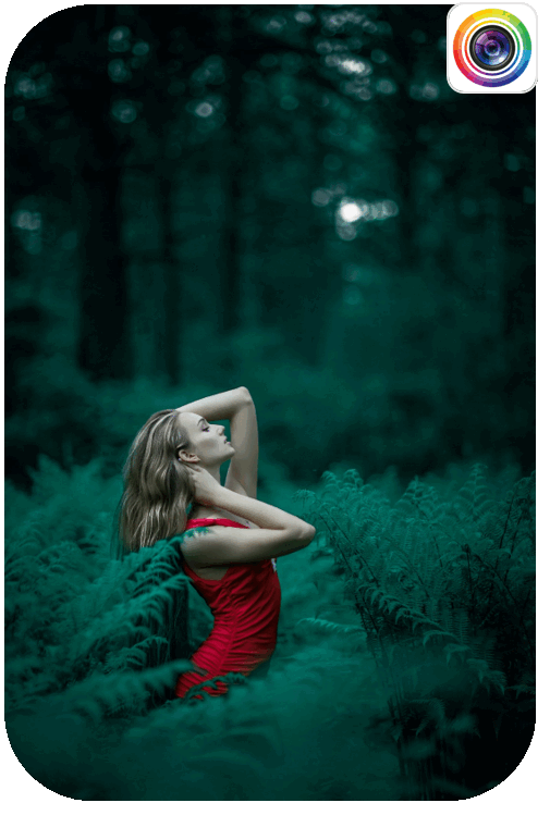 Filtre pour montage photo Instagram