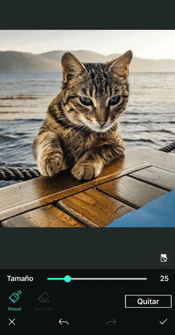 Eliminar un objeto mediante IA