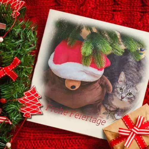 PhotoDirector App - Weihnachtsbilder erstellen