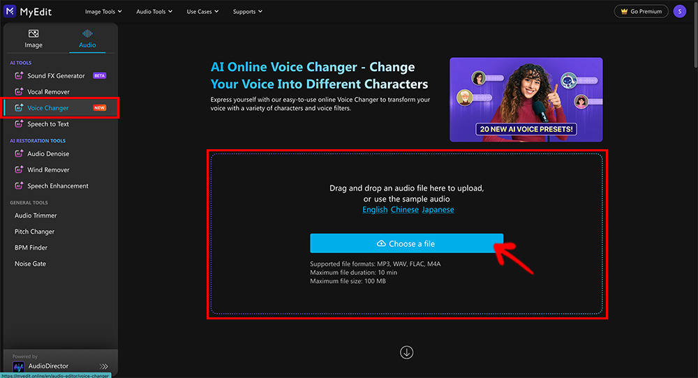 AudioDirector Online - Upload Your Audio File