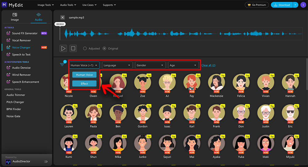 AudioDirector Online - Choose a Voice Effect
