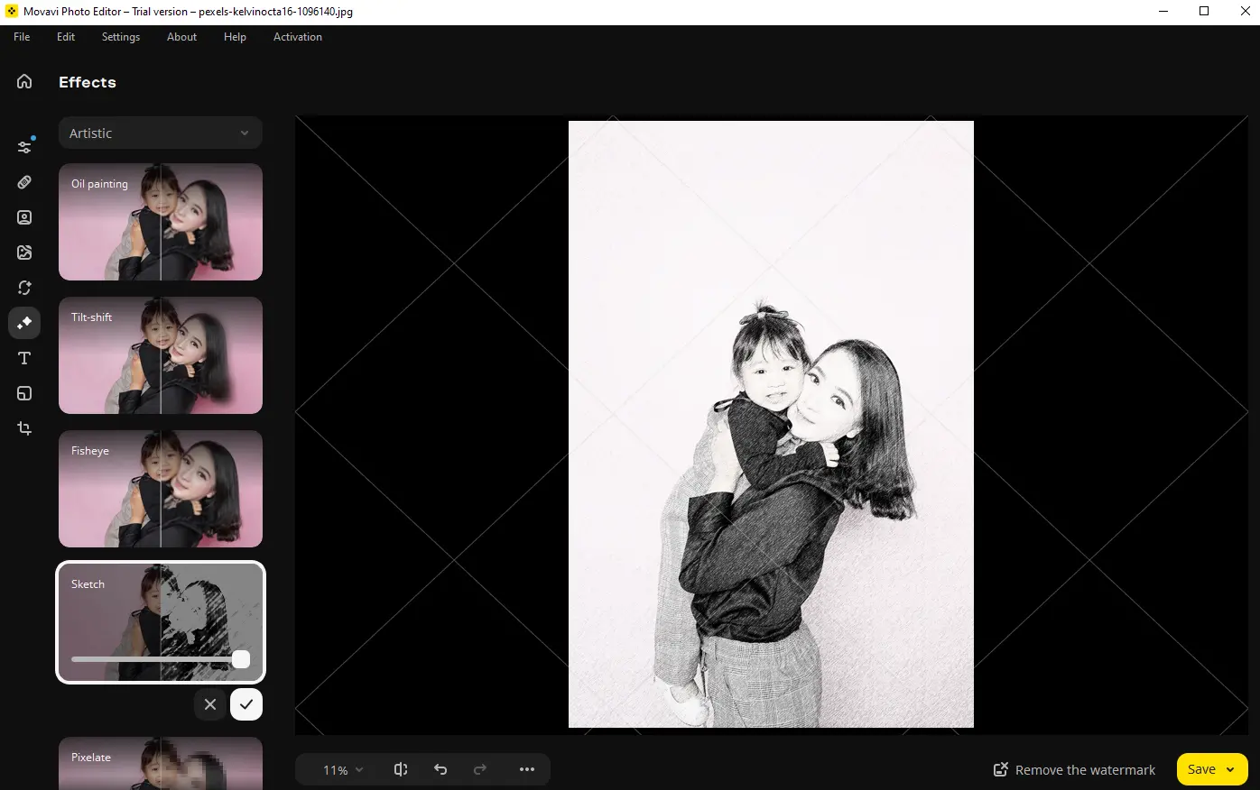 Movavi Interface Photo into Drawing