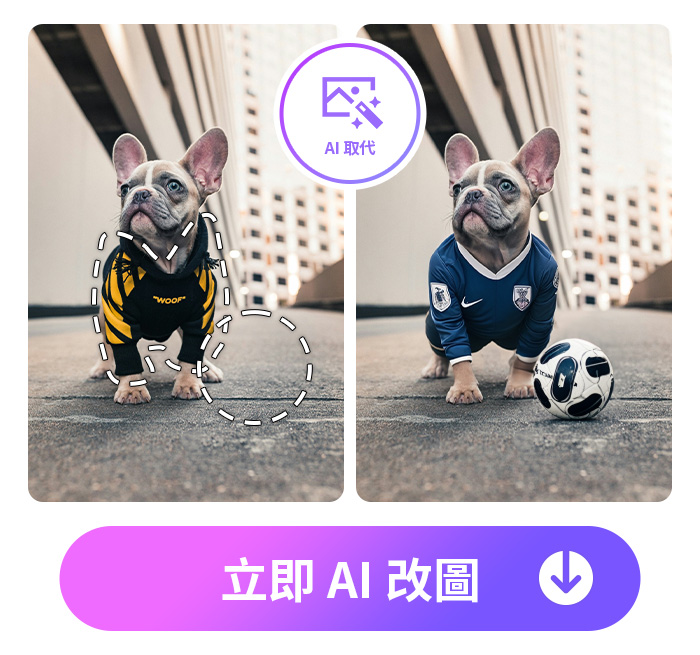 相片大師寵物改圖範例