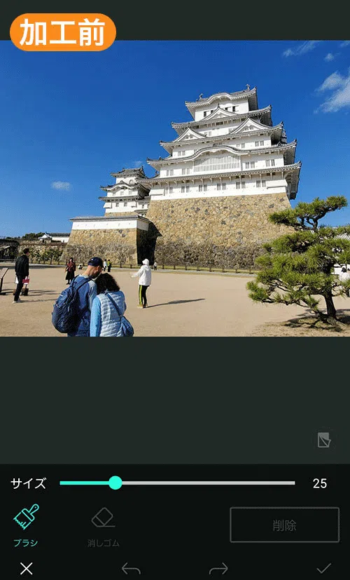 PhotoDirector 除去例