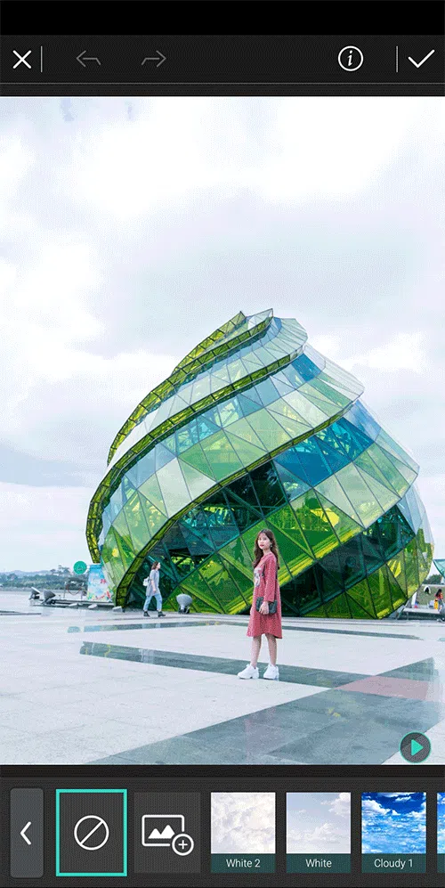 PhotoDirector 空入れ替え例