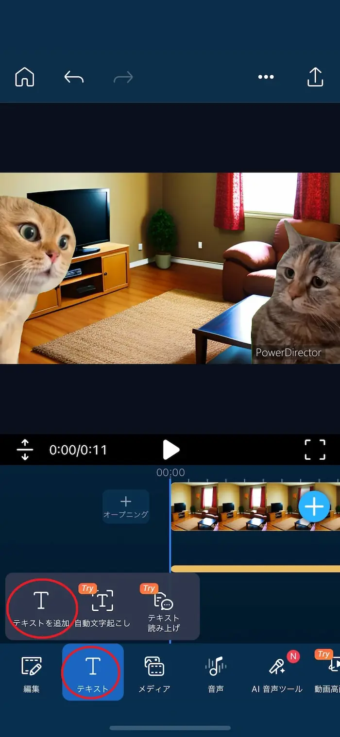 PDRM テキストを追加