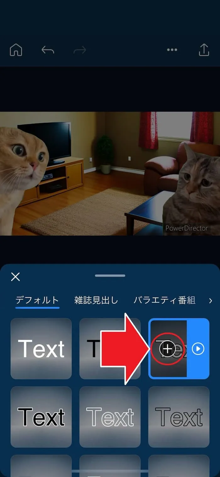 PDRM 豊富な種類の文字を選択