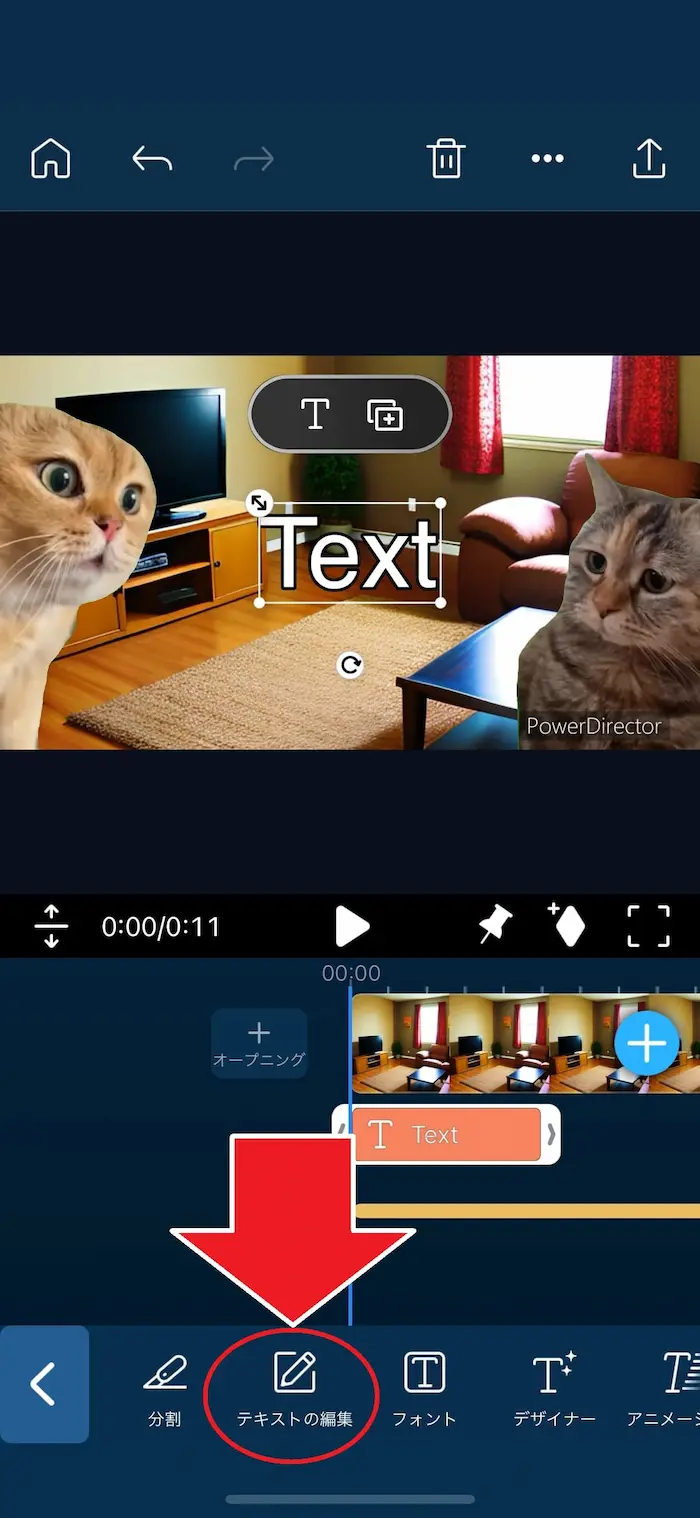 PDRM テキストの編集