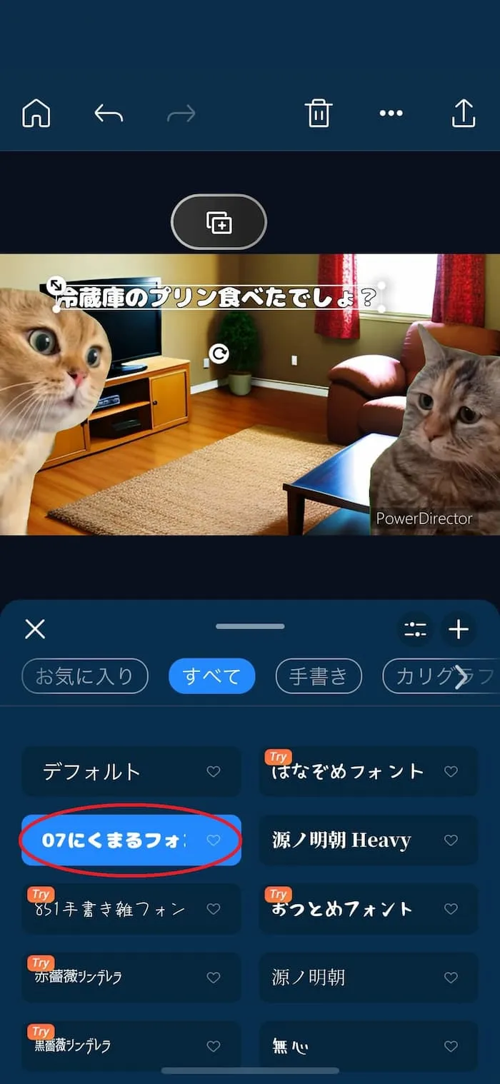 PDRM 日本語フォント