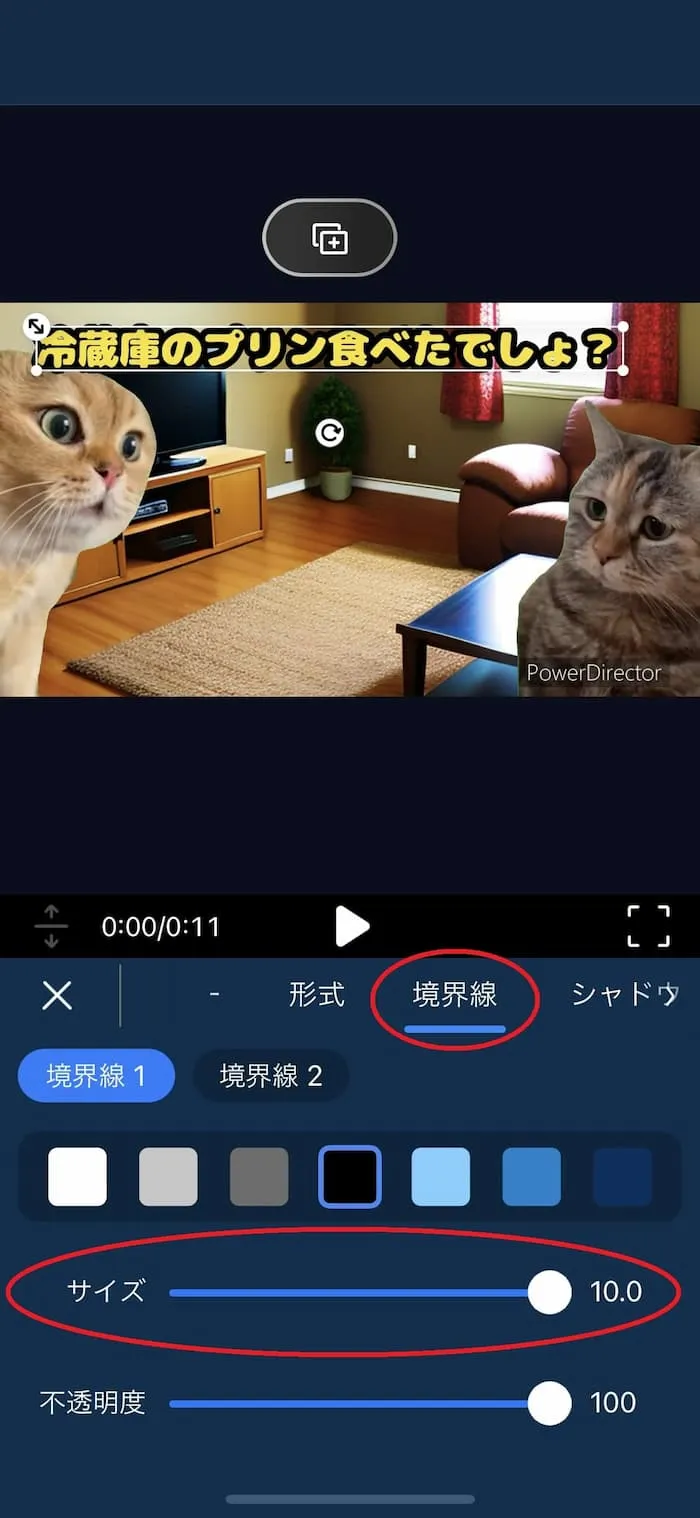 PDRM サイズを調整