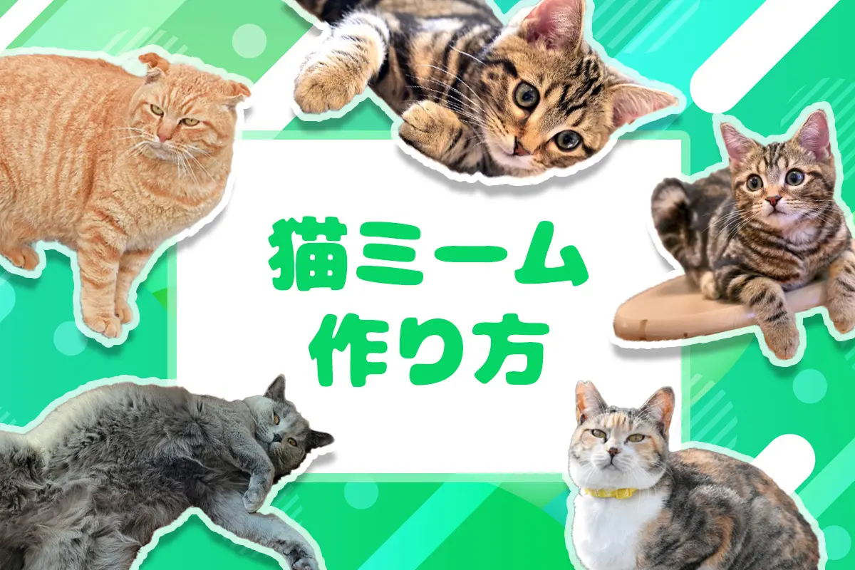 猫ミーム作り方