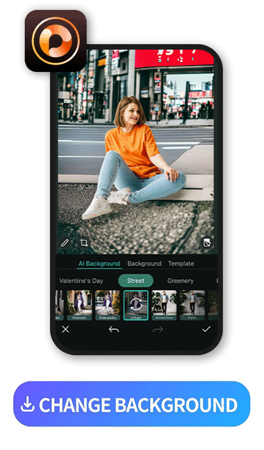 Input Image Description