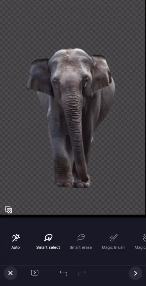 Figure Image