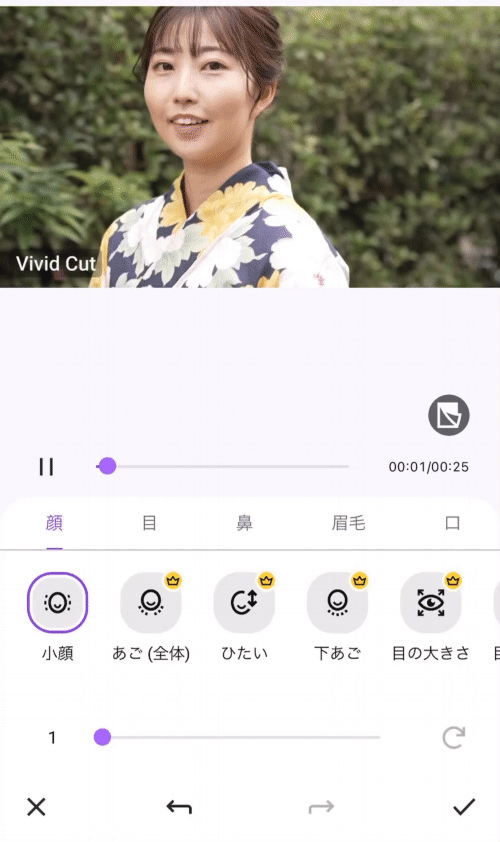 Vivid Glam 小顔デモ