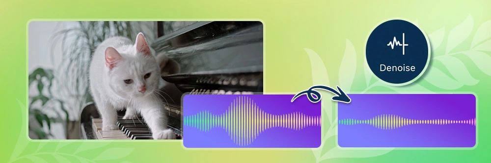 Video Hintergrundrauschen entfernen